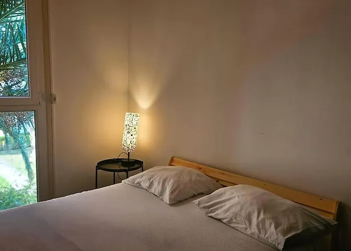 Ovalie ! Spacieux T3 Lumineux