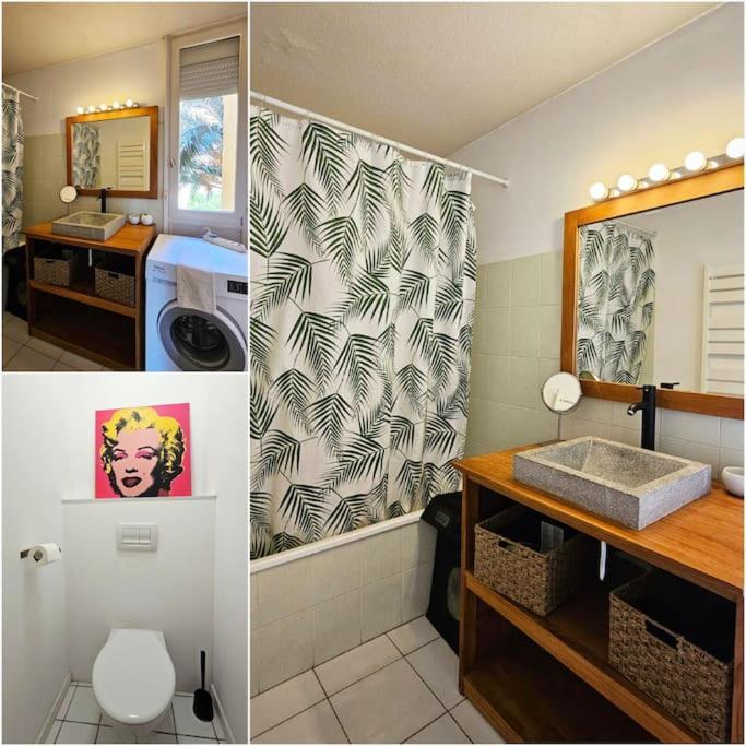 Apartment Ovalie ! Spacieux T3 Lumineux Montpellier
