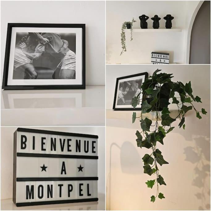 Apartment Ovalie ! Spacieux T3 Lumineux *