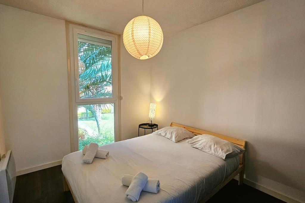 Appartement Ovalie ! Spacieux T3 Lumineux Montpellier